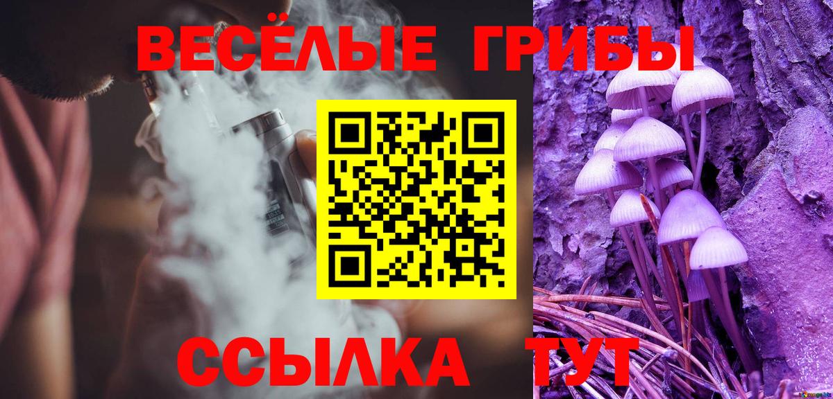 Псилоцибиновые грибы MAGIC MUSHROOMS  Вход с VPN  Алатырь 
