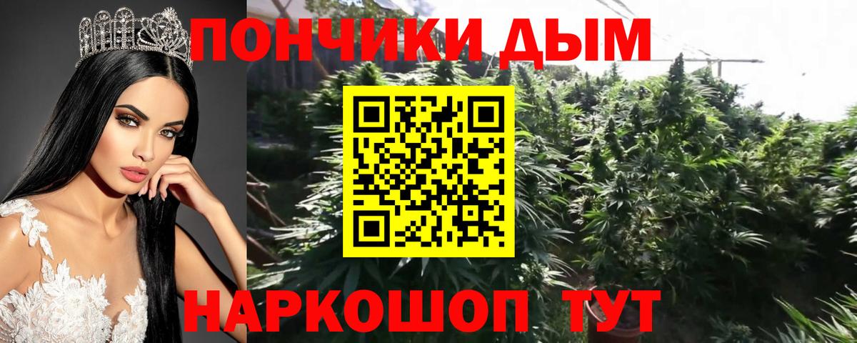 Каннабис тримм  Конопля MAZAR  Вход с VPN  Бошки марихуана THC 21%  Алатырь 
